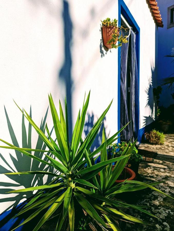 Cozy 3 Bedroom Home - Close To Beach Lourinhã Exterior foto